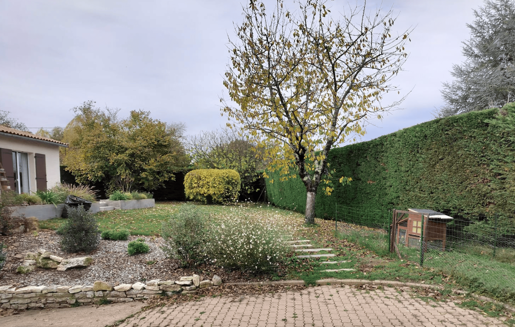 Entretien de haies et d'arbustes